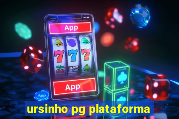 ursinho pg plataforma